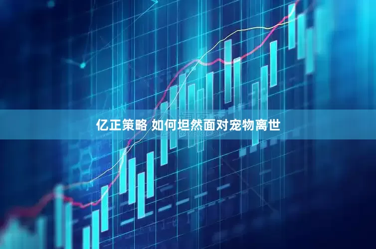 亿正策略 如何坦然面对宠物离世