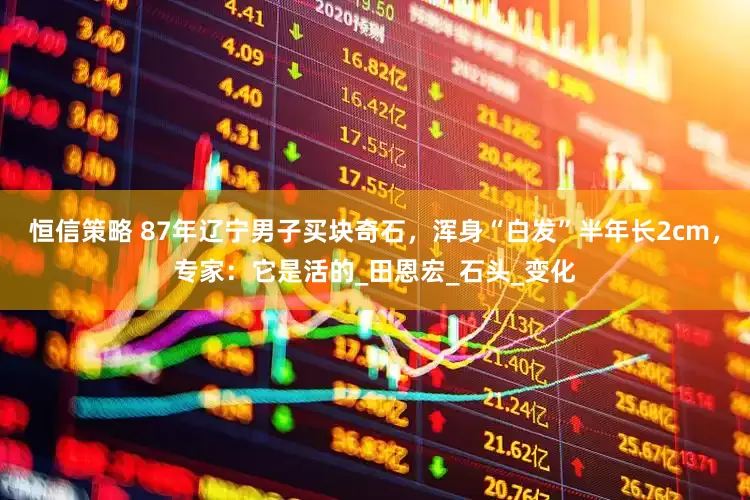 恒信策略 87年辽宁男子买块奇石，浑身“白发”半年长2cm，专家：它是活的_田恩宏_石头_变化