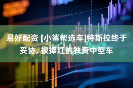 易好配资 [小鲨帮选车]特斯拉终于妥协, 被捧红的独资中型车