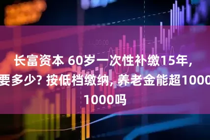 长富资本 60岁一次性补缴15年, 需要多少? 按低档缴纳, 养老金能超1000吗